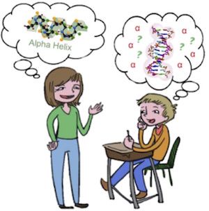 Instructor describing protein helix to confused student